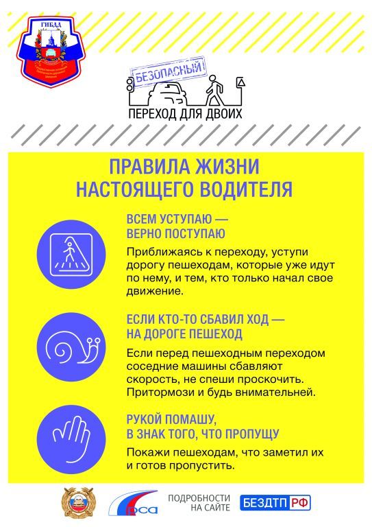 Правила настоящего водителя.jpg